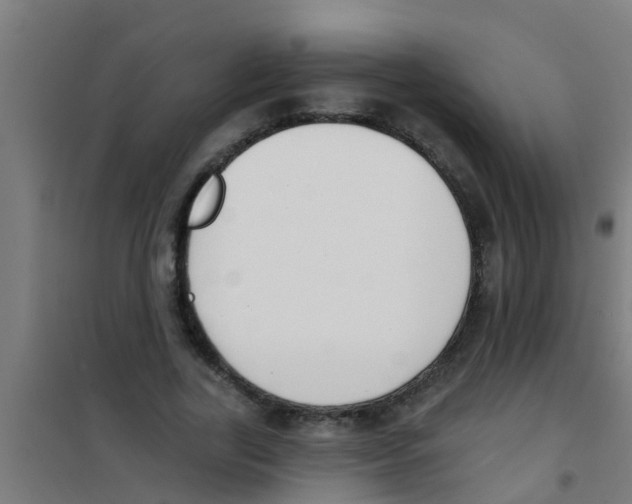 X0000100410731200807032037