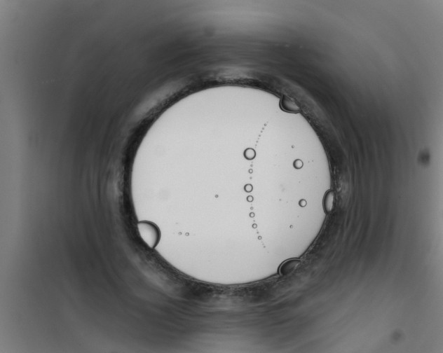 X0000100410732200807032037