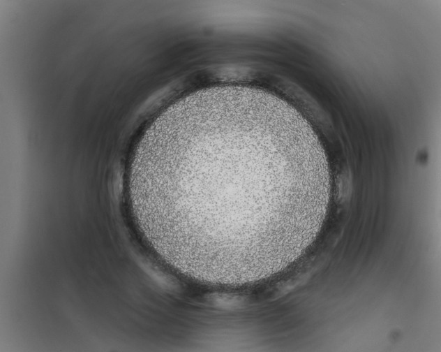 X0000100410733200807032037