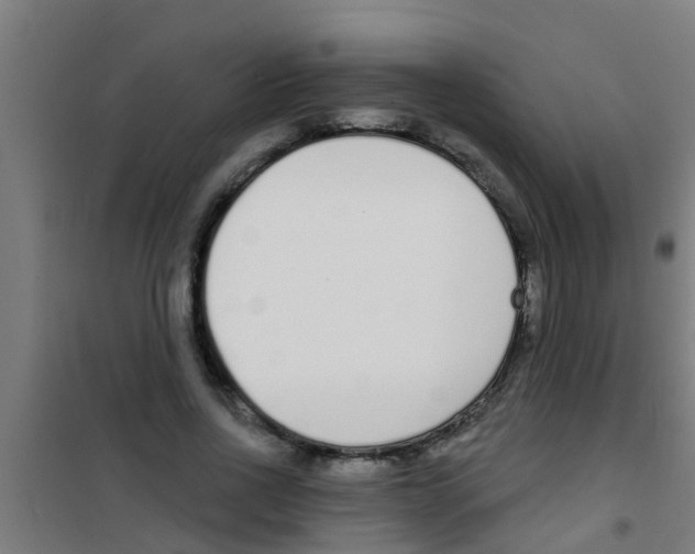 X0000100410734200807032037