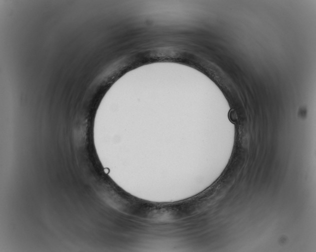 X0000100410735200807032037