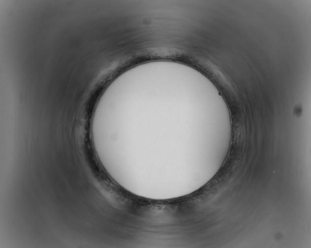 X0000100410736200807032037