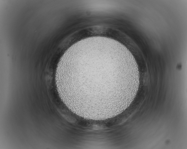 X0000100410737200807032037