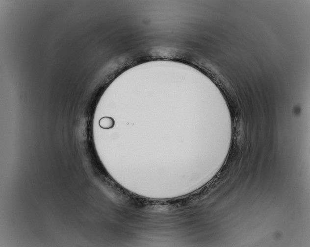 X0000100410738200807032037