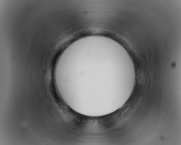 X0000100410740200807032037