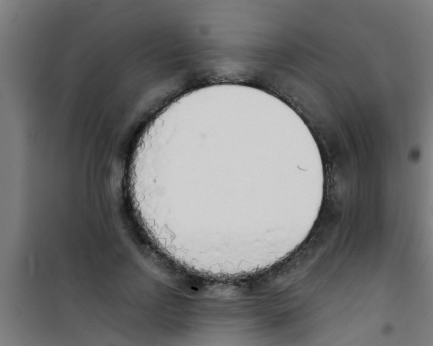 X0000100410742200807032037