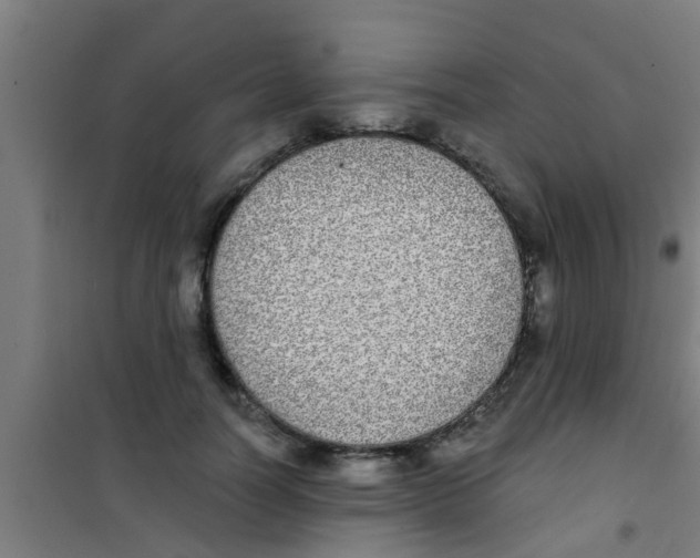X0000100410746200807032037