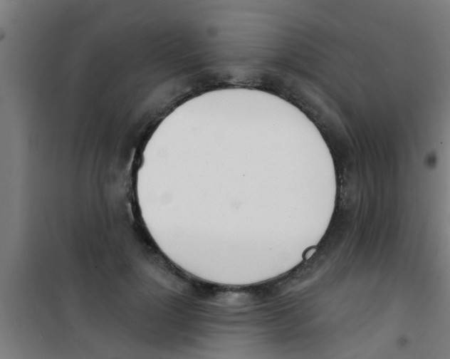 X0000100410748200807032037