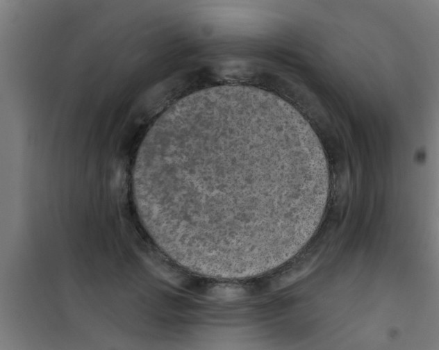 X0000100410749200807032037