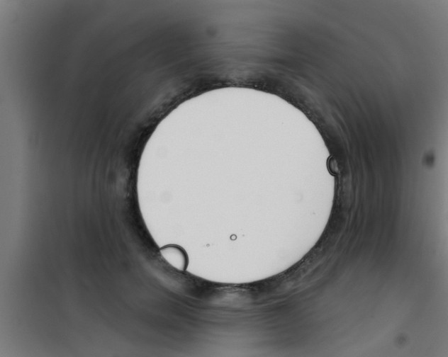 X0000100410750200807032037