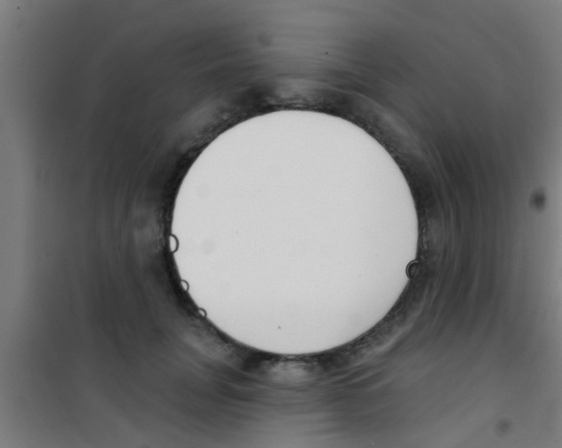 X0000100410751200807032037