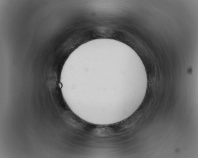 X0000100410752200807032037