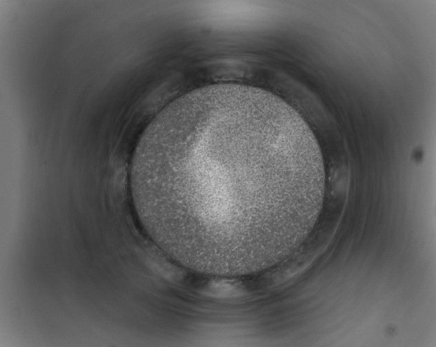 X0000100410753200807032037