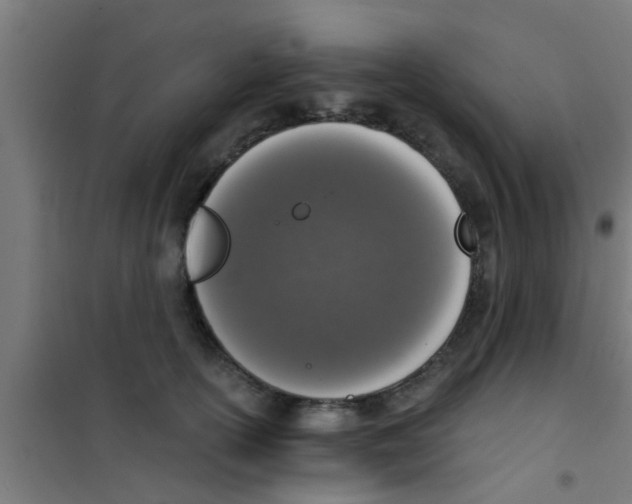 X0000100410754200807032037