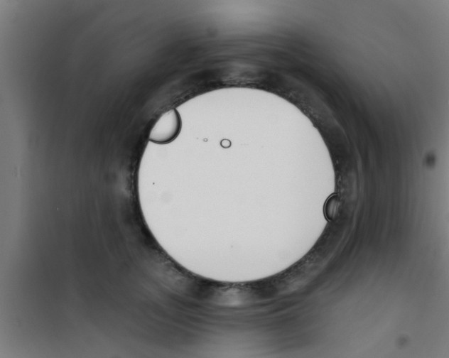 X0000100410755200807032037