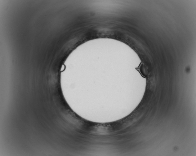 X0000100410756200807032037