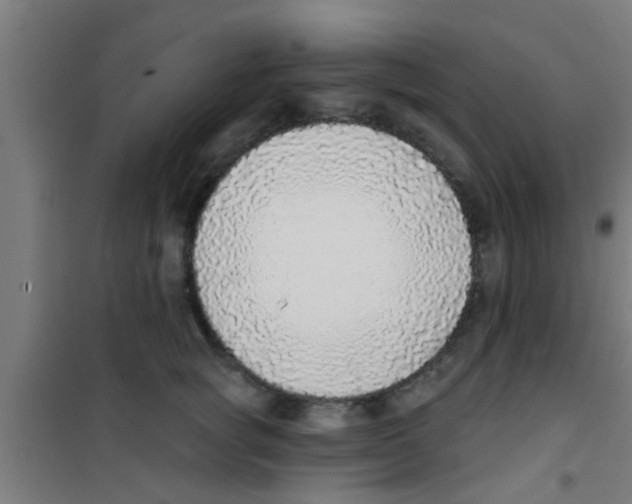 X0000100410757200807032037