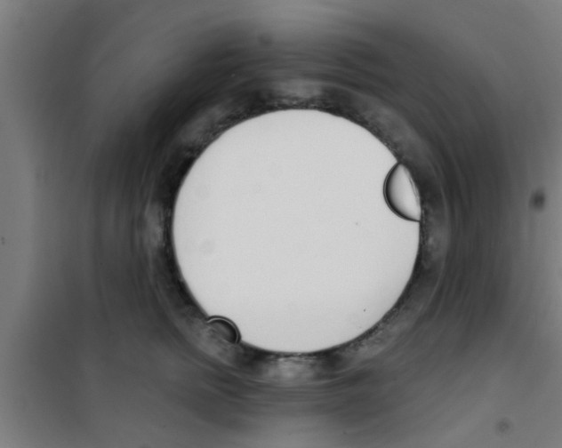 X0000100410758200807032037
