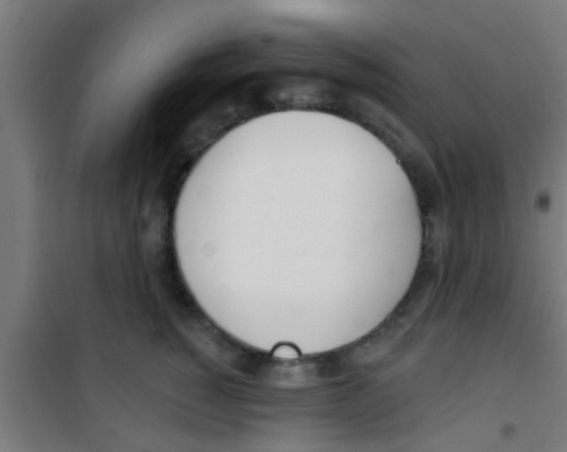 X0000100410760200807032037