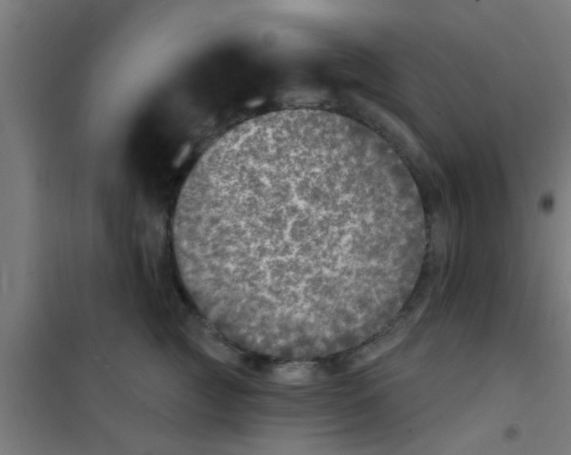 X0000100410761200807032037