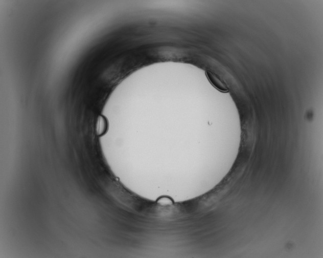 X0000100410762200807032037