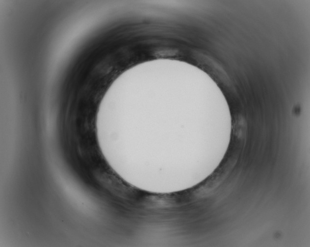 X0000100410763200807032037