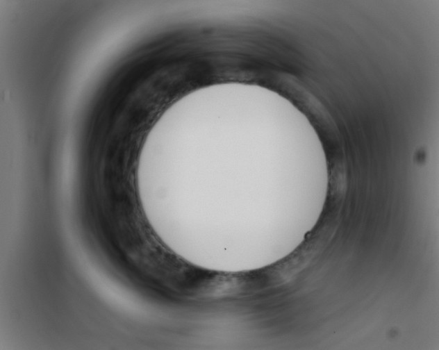 X0000100410764200807032037