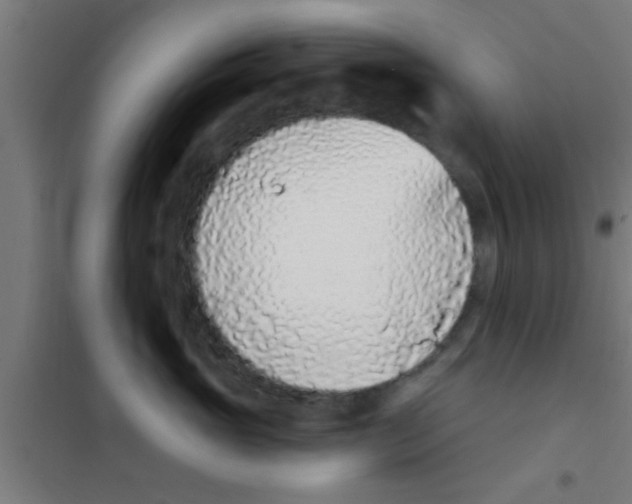 X0000100410765200807032037