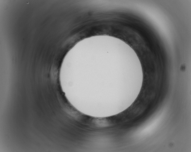 X0000100410767200807032037