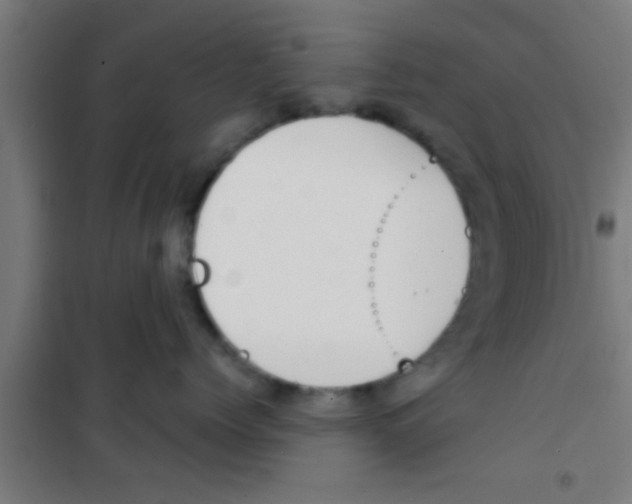 X0000100410768200807032037