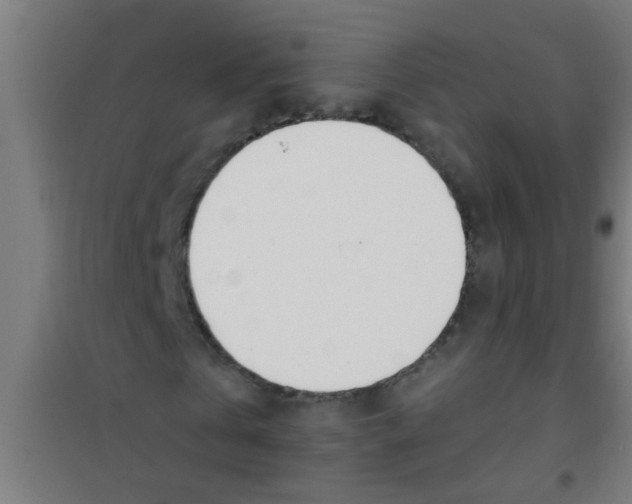 X0000100410769200807032036