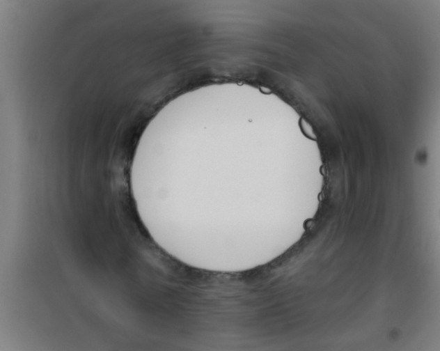 X0000100410770200807032036
