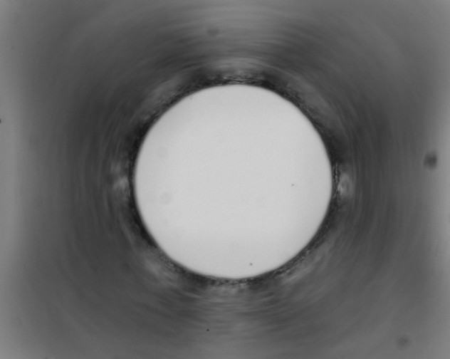 X0000100410771200807032036