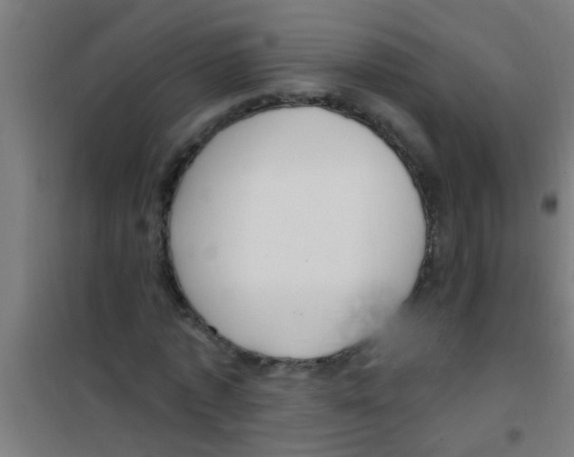 X0000100410773200807032036