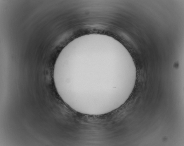 X0000100410774200807032036