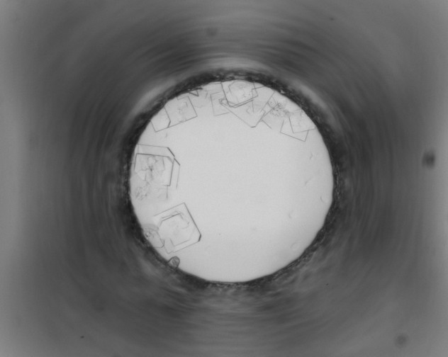 X0000100410775200807032036