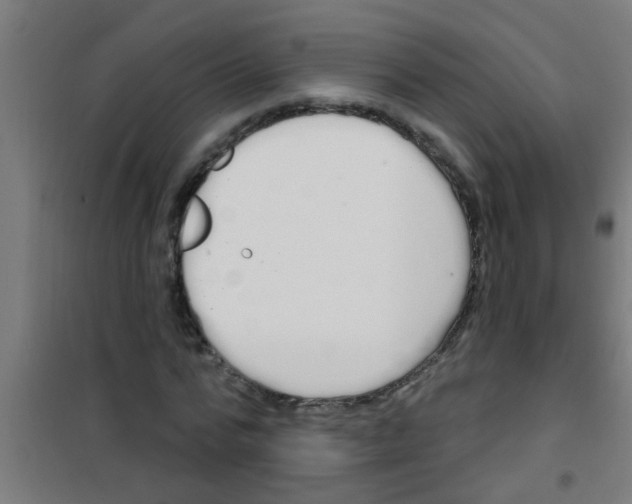 X0000100410776200807032036