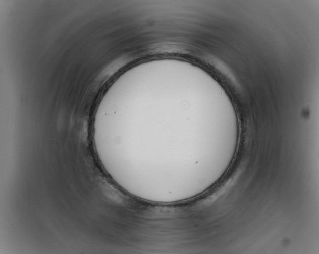 X0000100410777200807032036