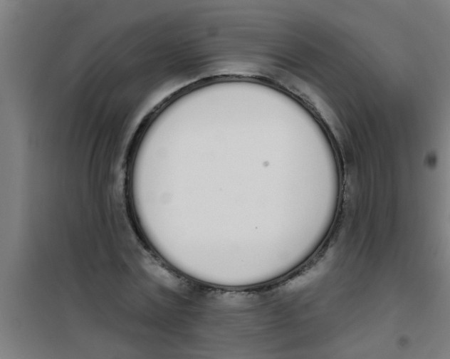 X0000100410779200807032036
