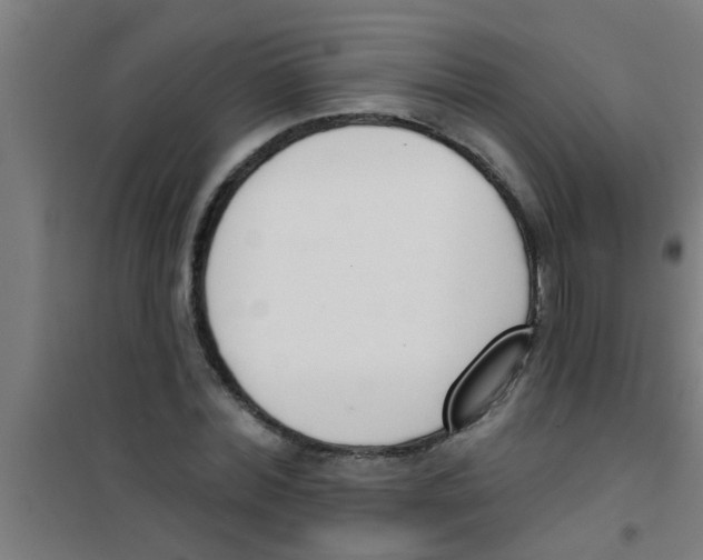 X0000100410780200807032036