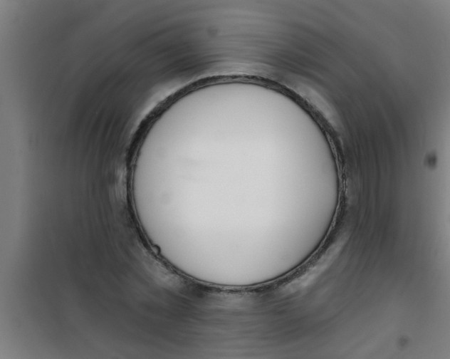 X0000100410781200807032036