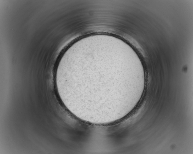 X0000100410782200807032036
