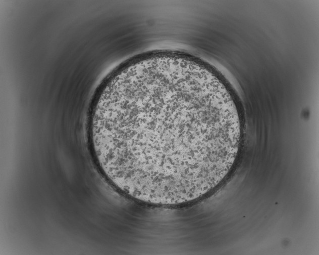 X0000100410783200807032036