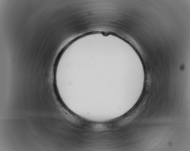 X0000100410787200807032036