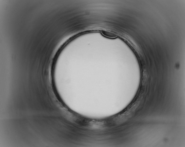 X0000100410788200807032036