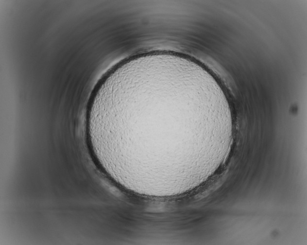 X0000100410790200807032036