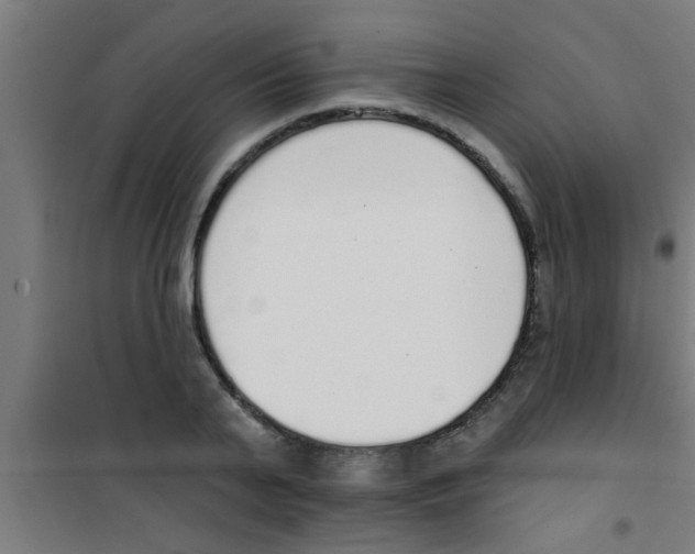 X0000100410791200807032036