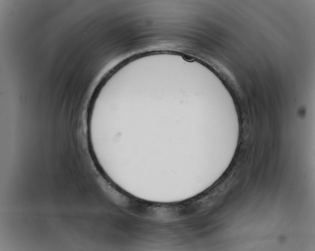 X0000100410792200807032036