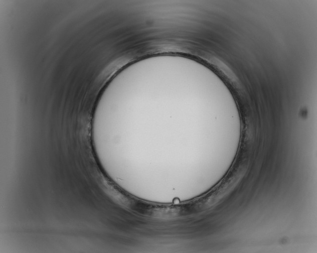 X0000100410793200807032036
