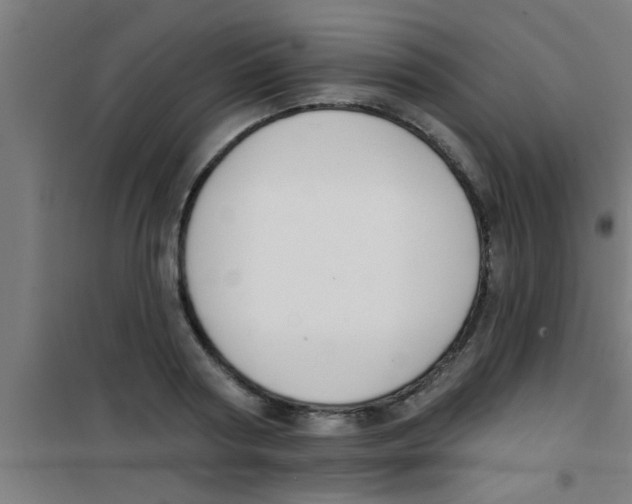 X0000100410794200807032036